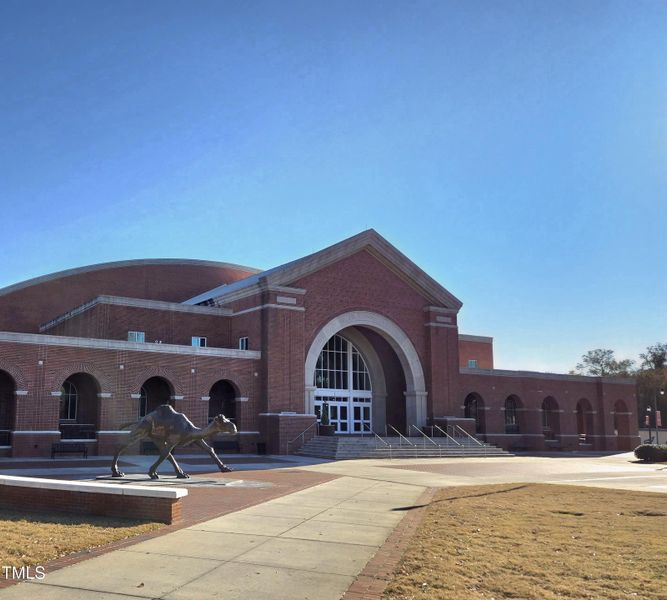 Campbell University Camel