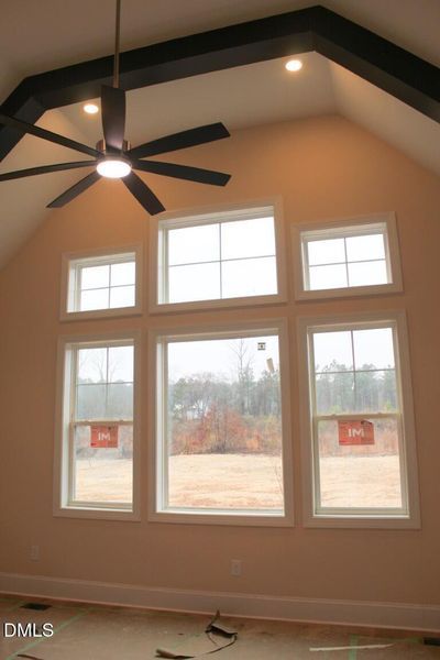 IMG_7348 (Medium) IMG_7348 (Medium)