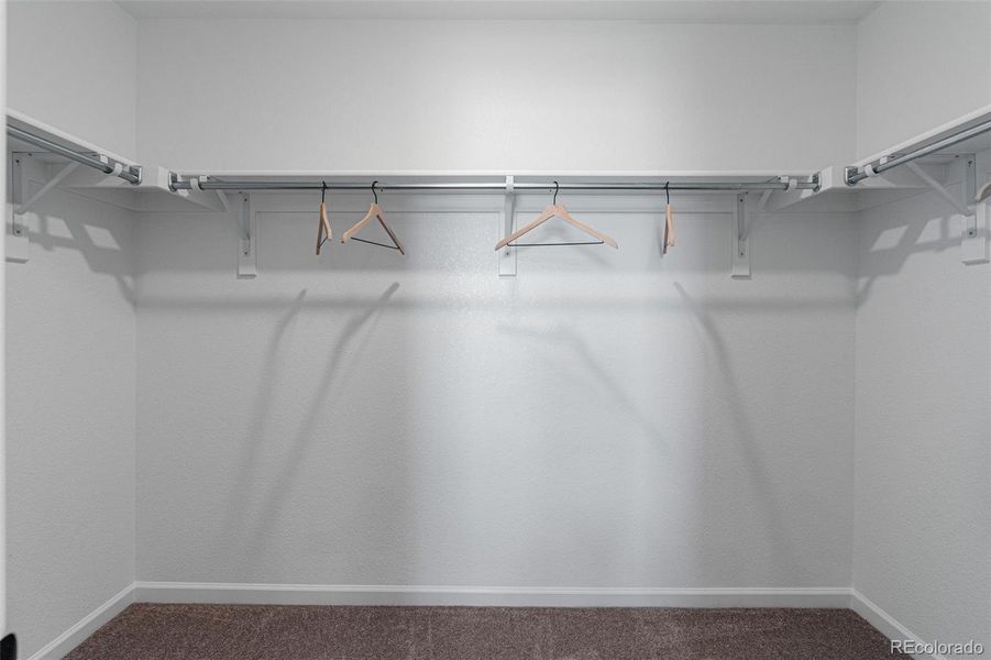 REPRESENTATIVE PHOTO