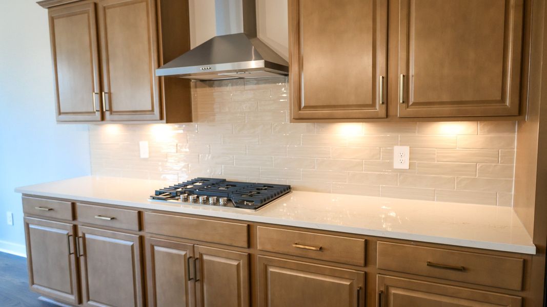 Representative interior finishes for a home built from the STONEBROOK II by D.R. Horton in Harvest Point, Spring Hill (Image 23).