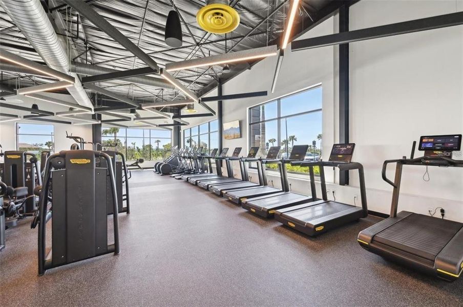 Community amenities in , Sarasota (Image 56).