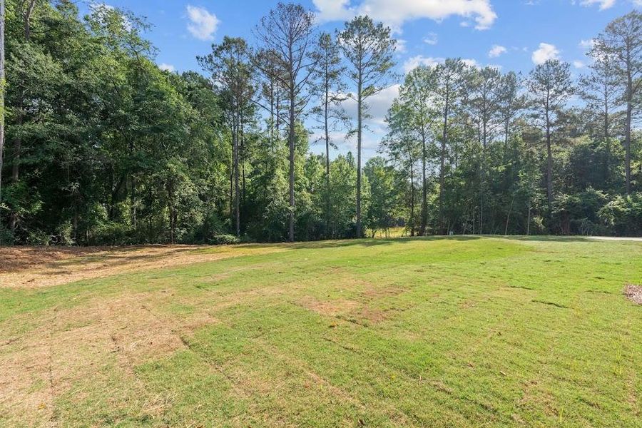 Natural landscape and outdoor views near  in Carrollton (Image 52).
