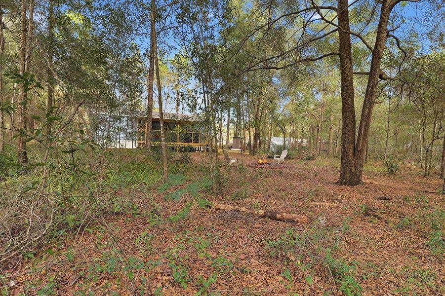 Natural landscape and outdoor views near  in Dunnellon (Image 36).