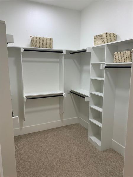 Spacious closet featuring carpet floors