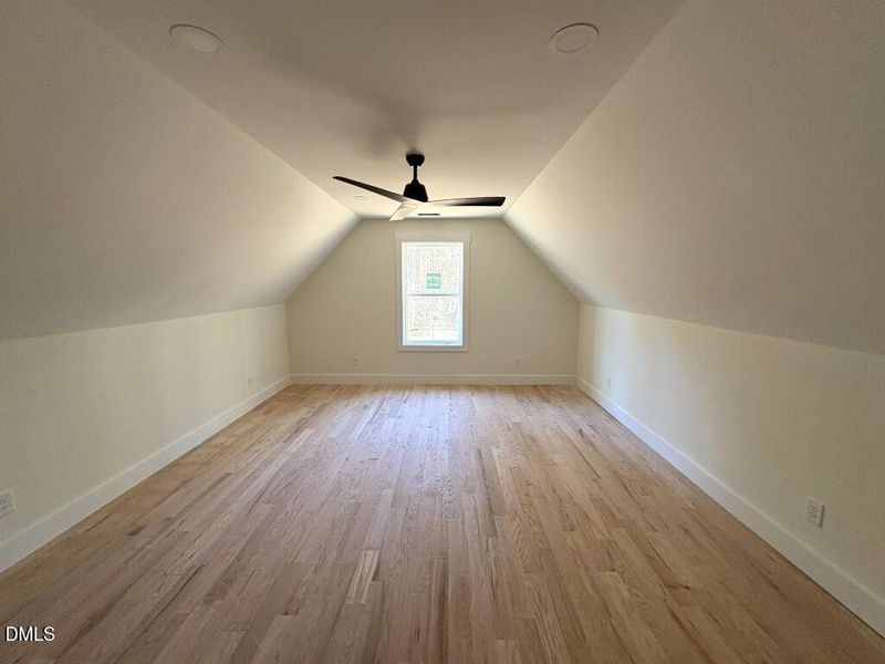 Photo Nov 10 2025, 11 45 36 AM (Medium)