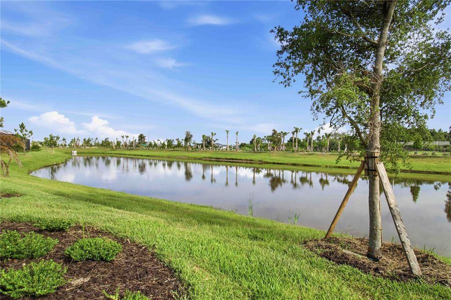 Natural landscape and outdoor views near Calusa Country Club in Lakewood Ranch (Image 40).