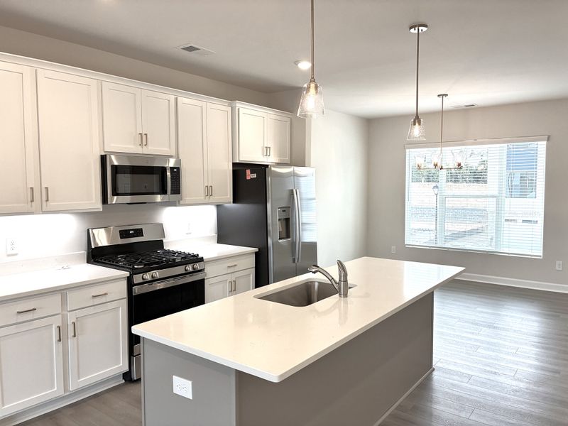 Furnished interior view inside a new home in Holly View, Greenville (Image 7).