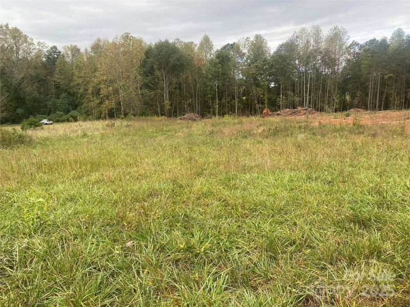 Natural landscape and outdoor views near in Forest City (Image 10). Natural landscape and outdoor views near in Forest City (Image 10).