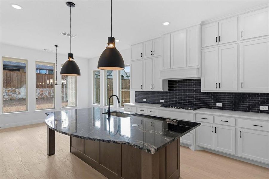 DAL_Mustang Lakes_Pineland_3528 Birdstone Court (11)