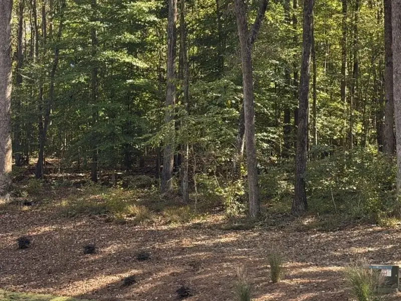 Natural landscape and outdoor views near  in Hoschton (Image 41).