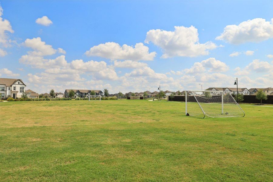 soccer field soccer field