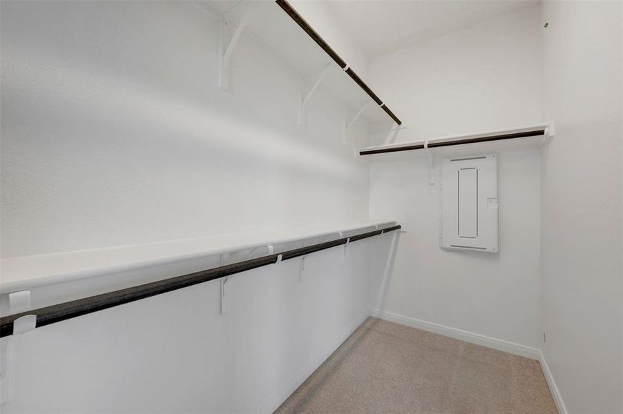 Walk-in closet featuring white walls, multi-level shelving, integrated hanging rods, and carpet flooring
