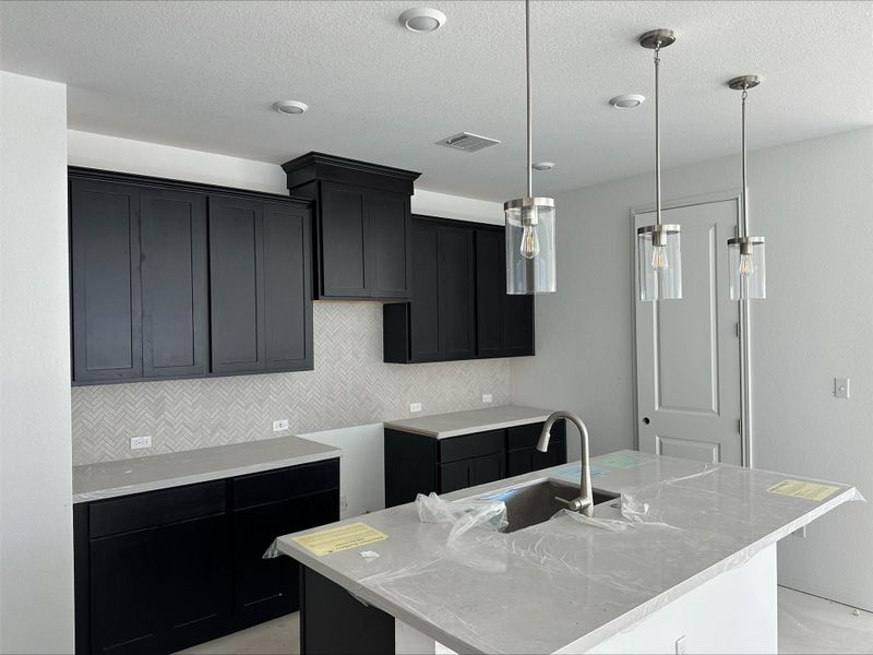 221 Coyote Willow Way ~ Under Construction