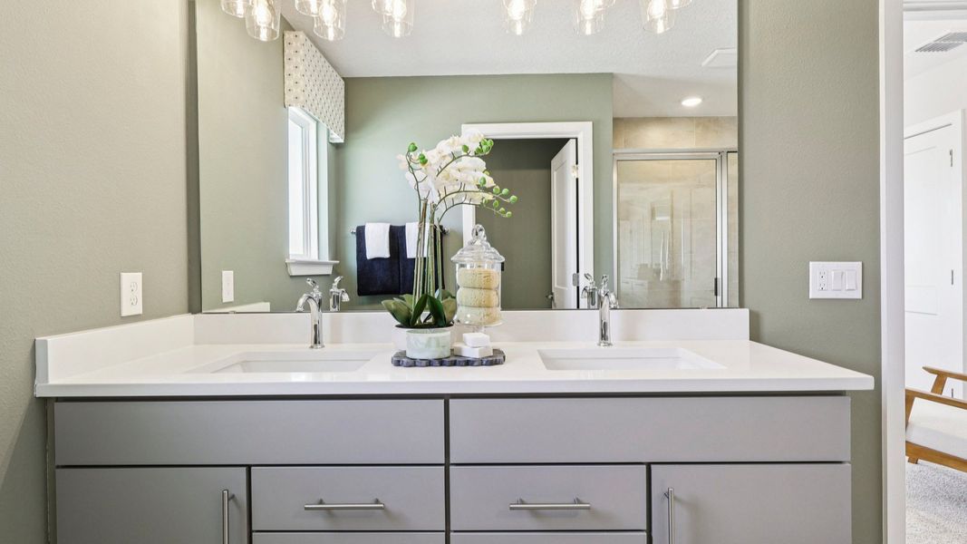 The Primary Bathroom