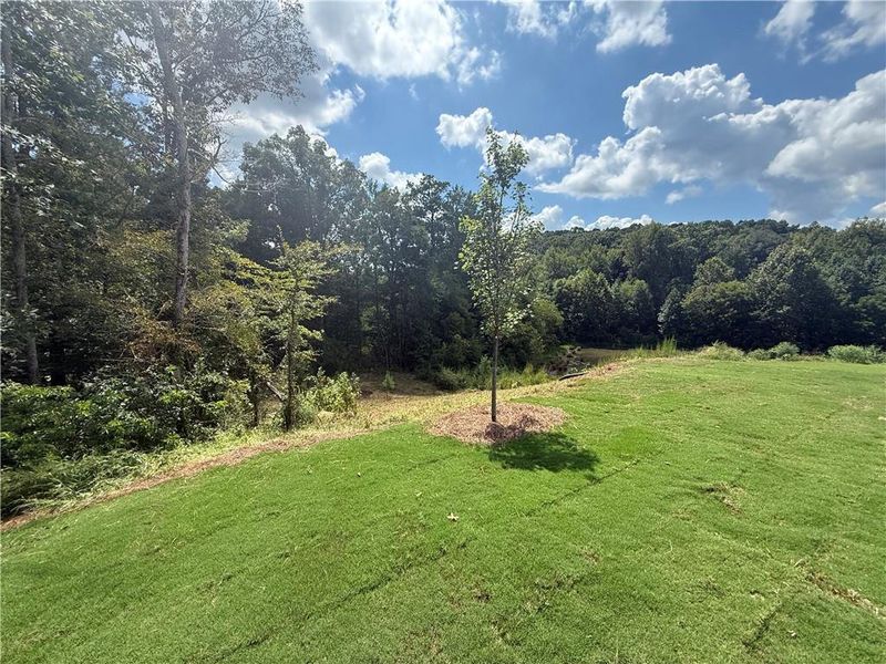 Natural landscape and outdoor views near Maple Village in Adairsville (Image 26). Natural landscape and outdoor views near Maple Village in Adairsville (Image 26).
