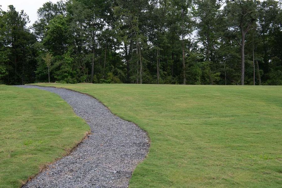 Natural landscape and outdoor views near Eastlyn Crossing in Flowery Branch (Image 17).