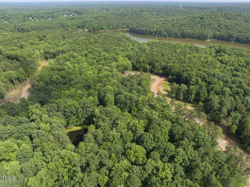 DJI_20250617163234_0130_D (Medium)