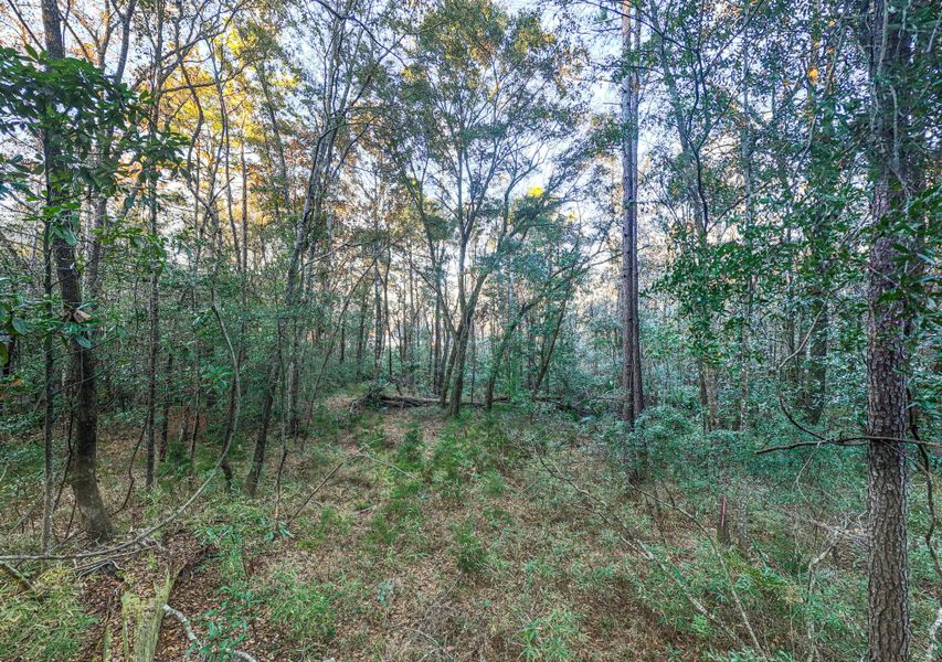 Natural landscape and outdoor views near in Dorchester (Image 48). Natural landscape and outdoor views near in Dorchester (Image 48).