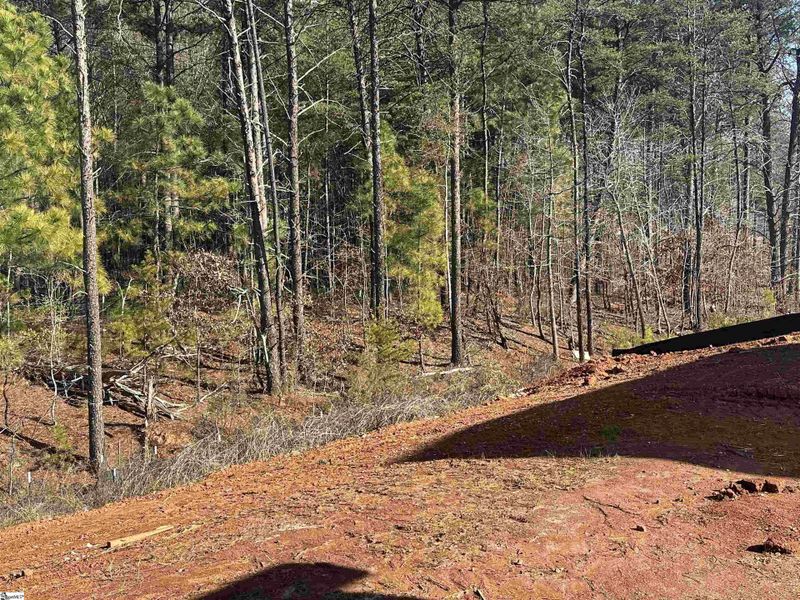 Natural landscape and outdoor views near Shiloh Trail in Wellford (Image 30).