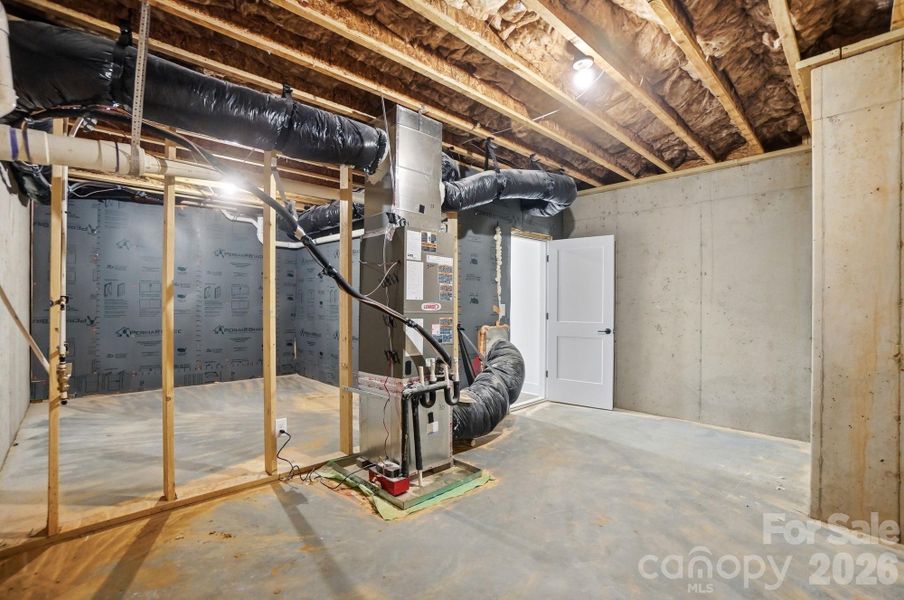 Unfinished Storage in basement