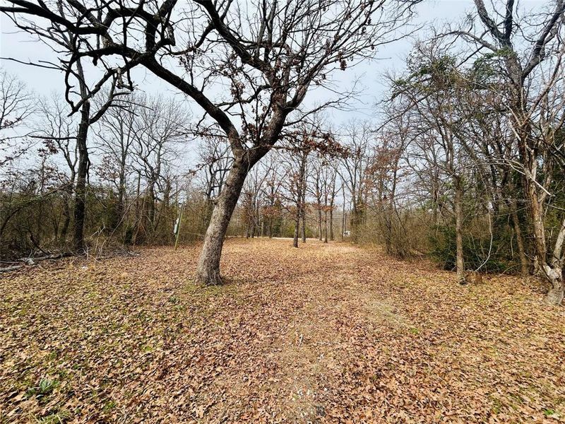 Natural landscape and outdoor views near  in Log Cabin (Image 22).