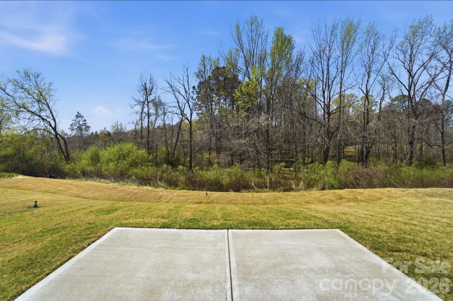 Backyard with concrete patio