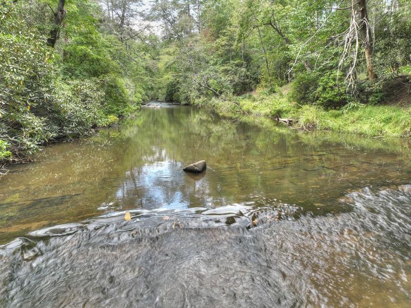 Natural landscape and outdoor views near  in Cherry Log (Image 49).