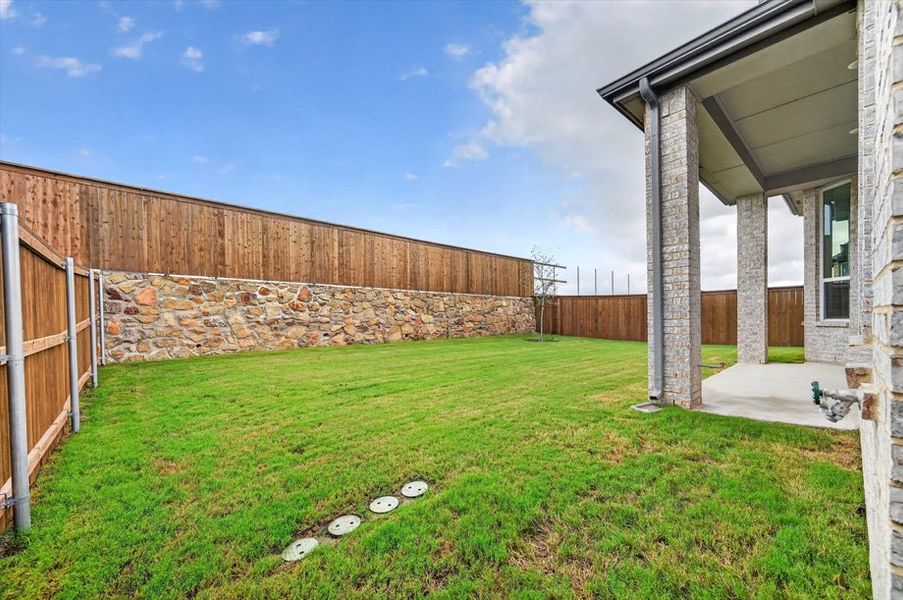 Backyard