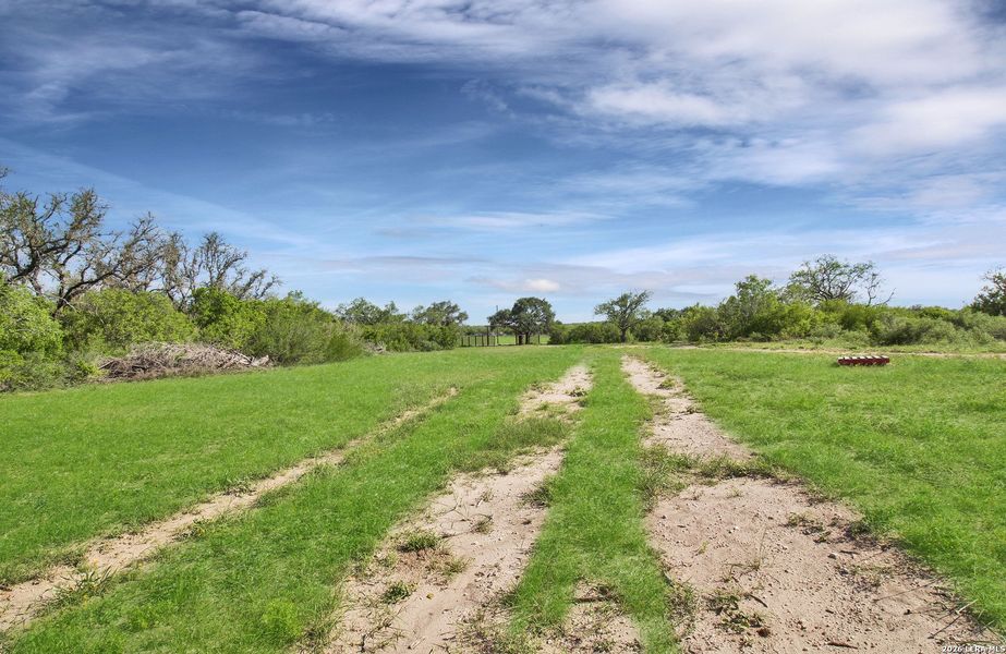 Natural landscape and outdoor views near  in Beeville (Image 20).