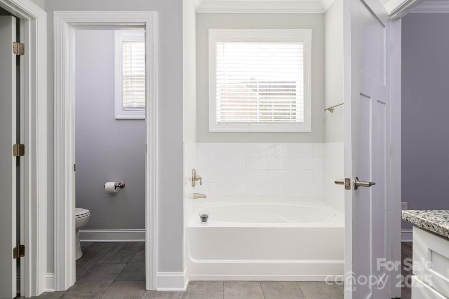 Separate soaking tub with beautiful new tile backsplash!