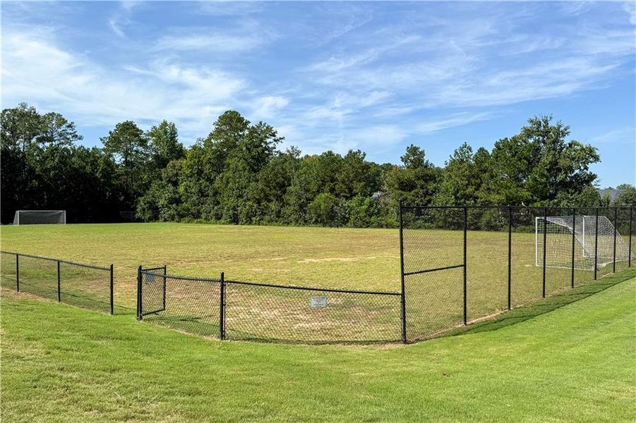 Community amenities in The Enclave at Flat Rock Hills, Stonecrest (Image 32).