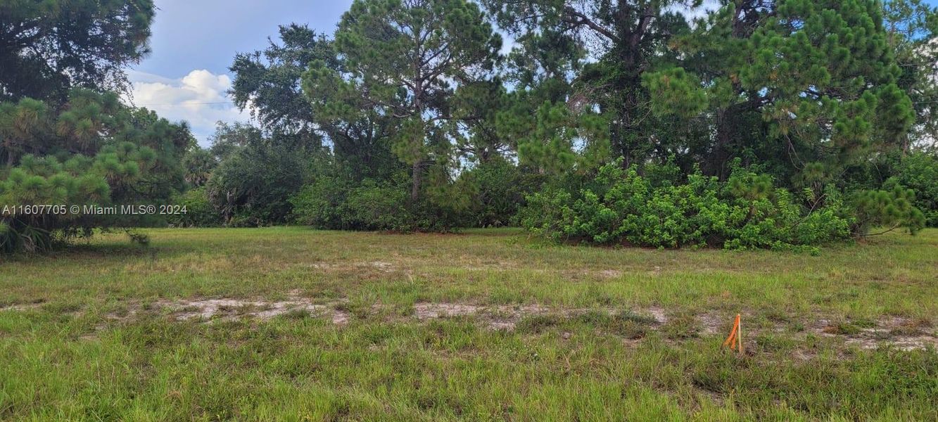 Natural landscape and outdoor views near in Placida (Image 18). Natural landscape and outdoor views near in Placida (Image 18).