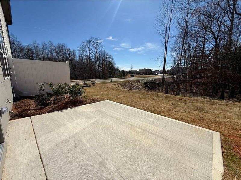 Exterior details and patio area of a home in The Towns at Auburn Station East, Auburn (Image 14).