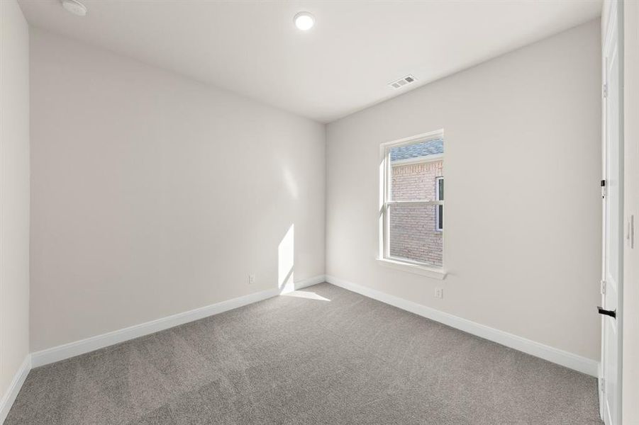 5_06. 1617 Yorkie - Bed 2