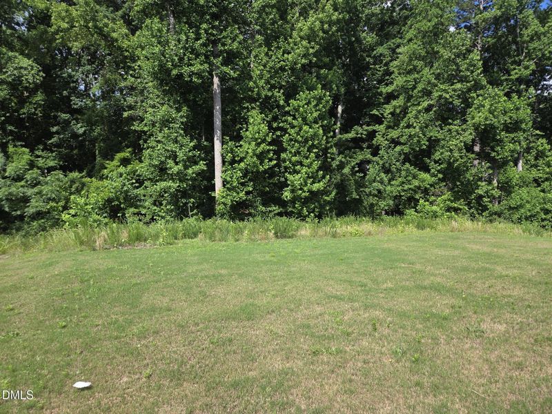 Backyard Backyard