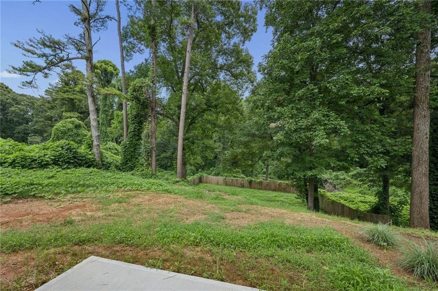 Natural landscape and outdoor views near in Atlanta (Image 24). Natural landscape and outdoor views near in Atlanta (Image 24).