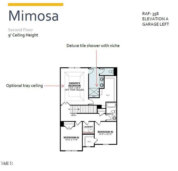 Mimosa 2nd floor