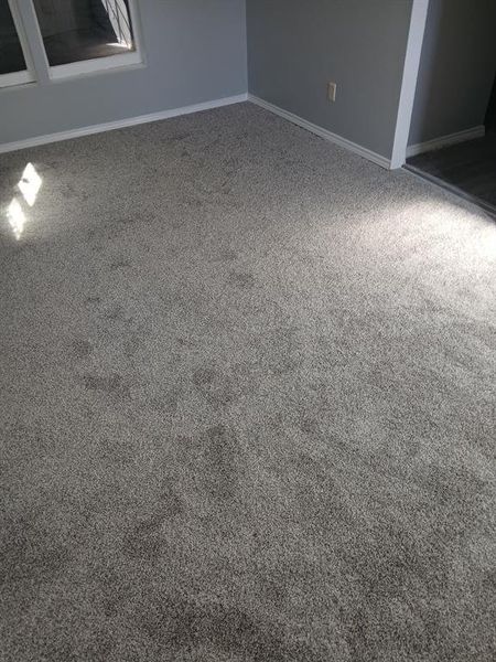 carpet