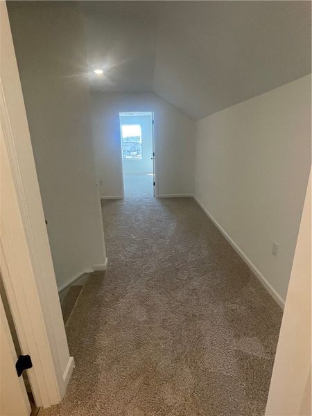 Spacious, unfurnished interior of a new home in Springwood Grove, Central (Image 30).