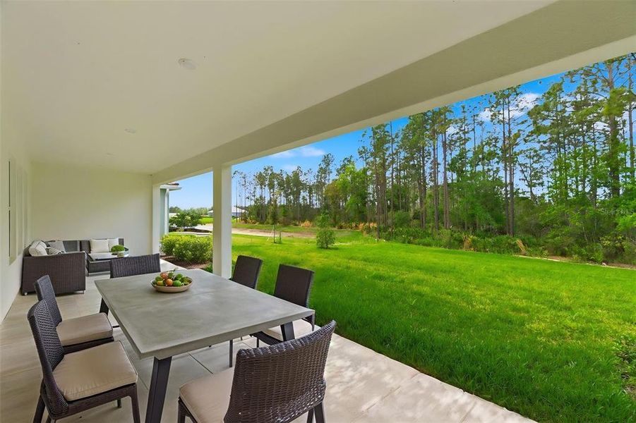 Exterior details and patio area of a home in Hammock at Two Rivers, Zephyrhills (Image 32).