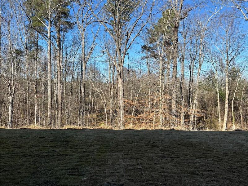 Natural landscape and outdoor views near Millstone at Mundy Mill in Gainesville (Image 29).
