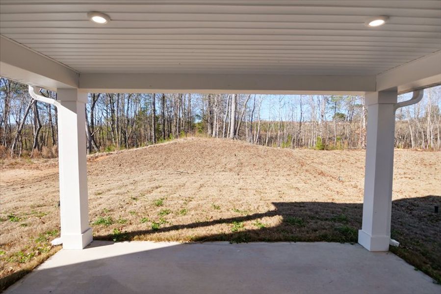 Exterior details and patio area of a home in Everly 2-Story, Spartanburg (Image 3).