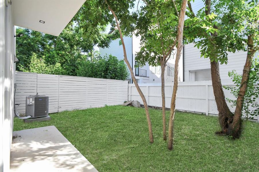 Modern multi-story home with a private fenced backyard and mature tree, offering outdoor space and privacy.