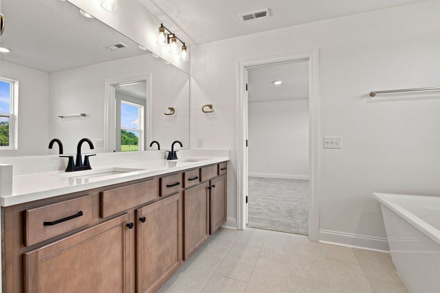 Owner's Bath
