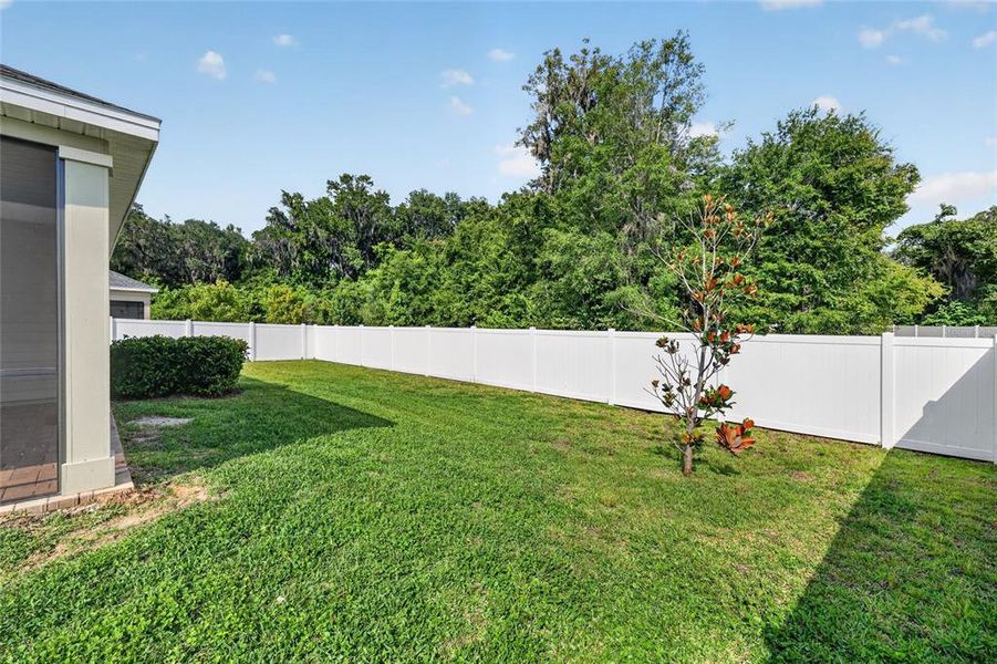 Exterior details and patio area of a home in Heath Preserve, Ocala (Image 31).
