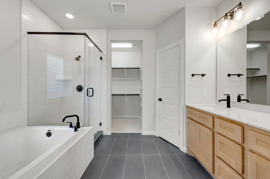 Owner's Bath