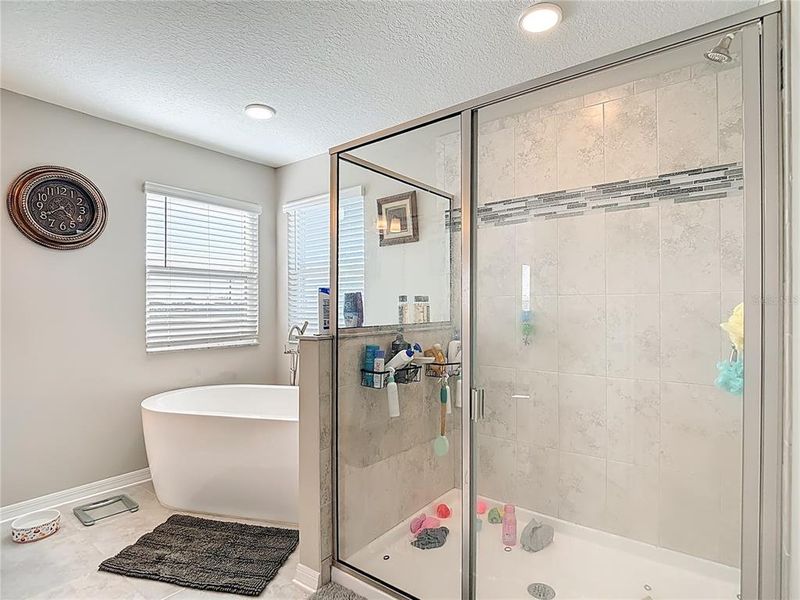 Furnished interior view inside a new home in Cobblestone, Zephyrhills (Image 60).