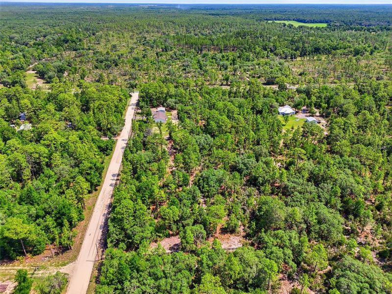 Natural landscape and outdoor views near  in Williston (Image 28).