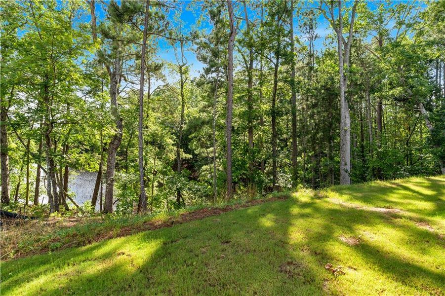 Image 33 of a home in Palmer Falls.