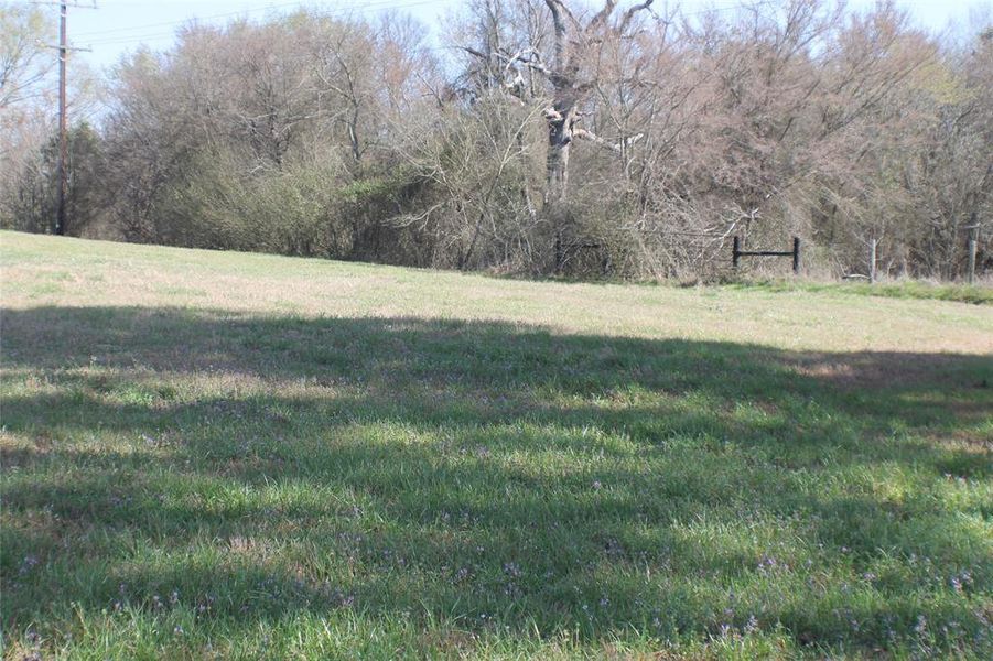 Natural landscape and outdoor views near  in Athens (Image 11).